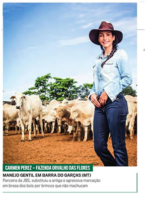 Pecurária Sustentável na Prática