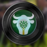 Apresentações Disponíveis!