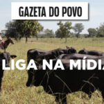 IAA tem novo Coordenador